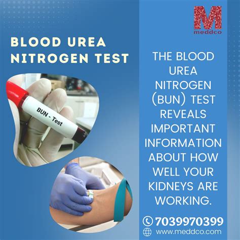 BUN (Blood Urea Nitrogen): MedlinePlus Medical Test.